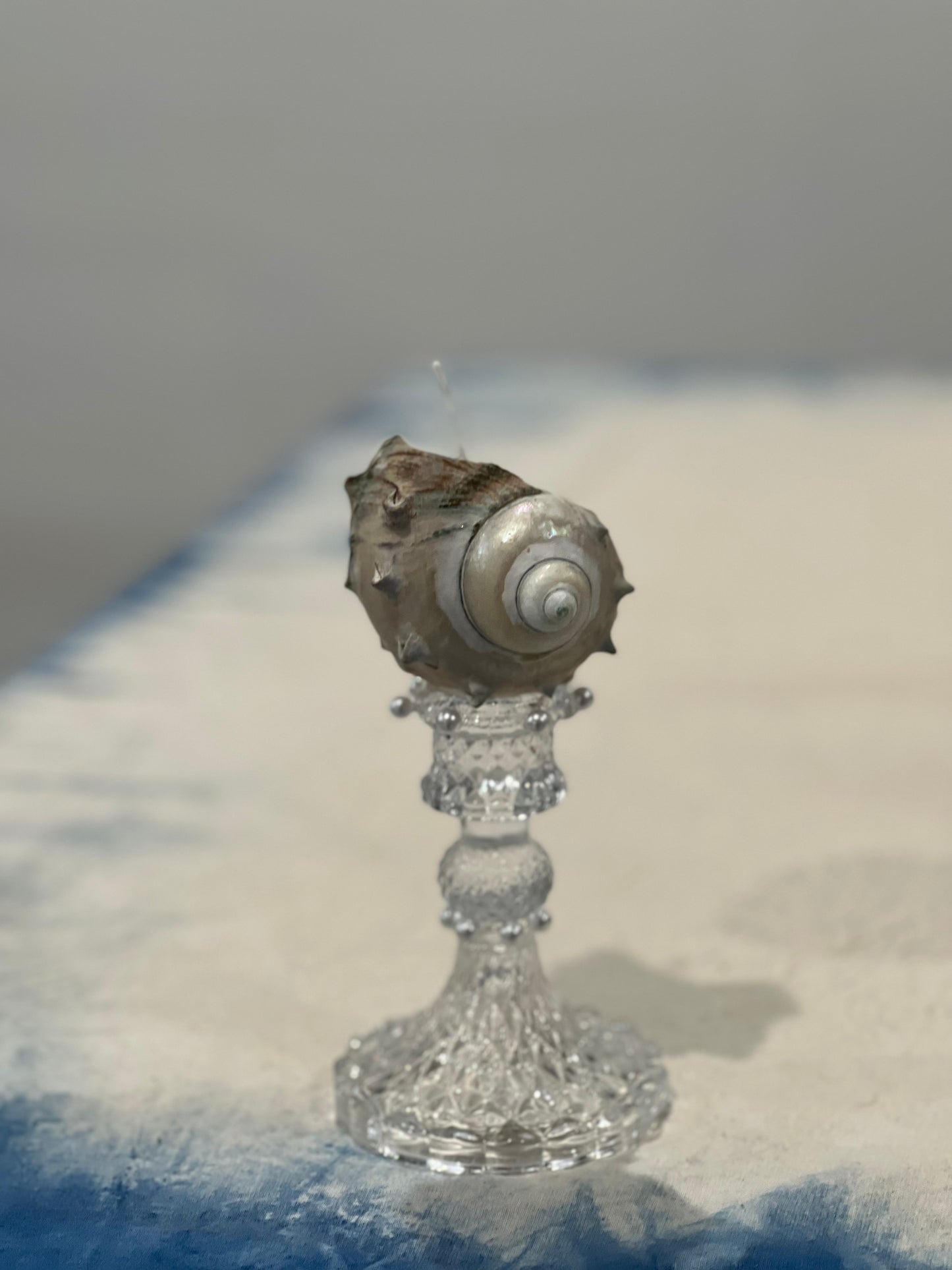 Shell Candle Holder and Candle Making Workshop